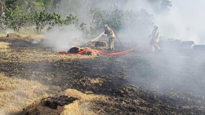 Antakya’nın Arpahan Mahallesi’nde buğday hasadının ardından tarlada biriken saman balyaları