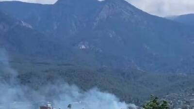 Hatay’ın Arsuz ilçesinde çıkan orman yangını, itfaiye ekiplerinin hızlı müdahalesiyle