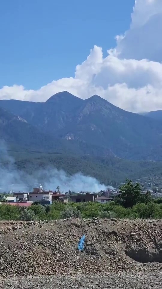 Hatay’ın Arsuz ilçesinde çıkan orman yangını, itfaiye ekiplerinin hızlı müdahalesiyle