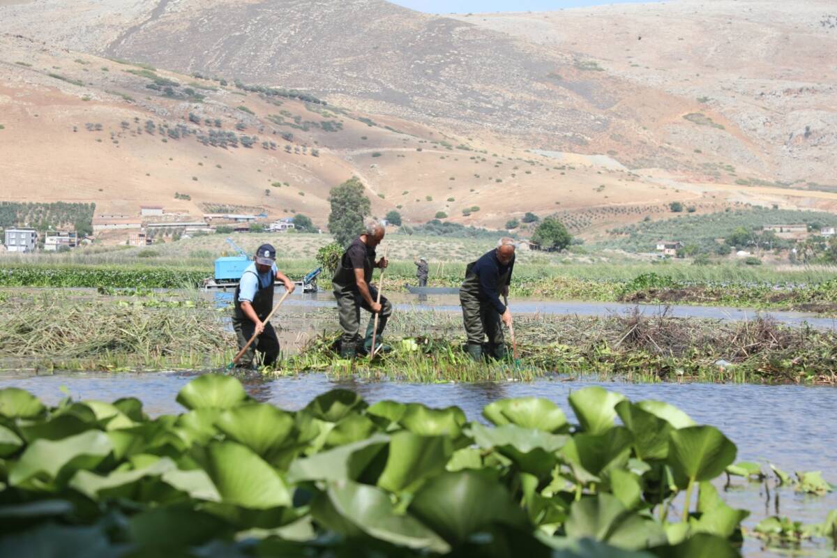 Hatay’ın Kırıkhan ilçesinde yer alan ve “Ulusal Öneme Haiz Sulak