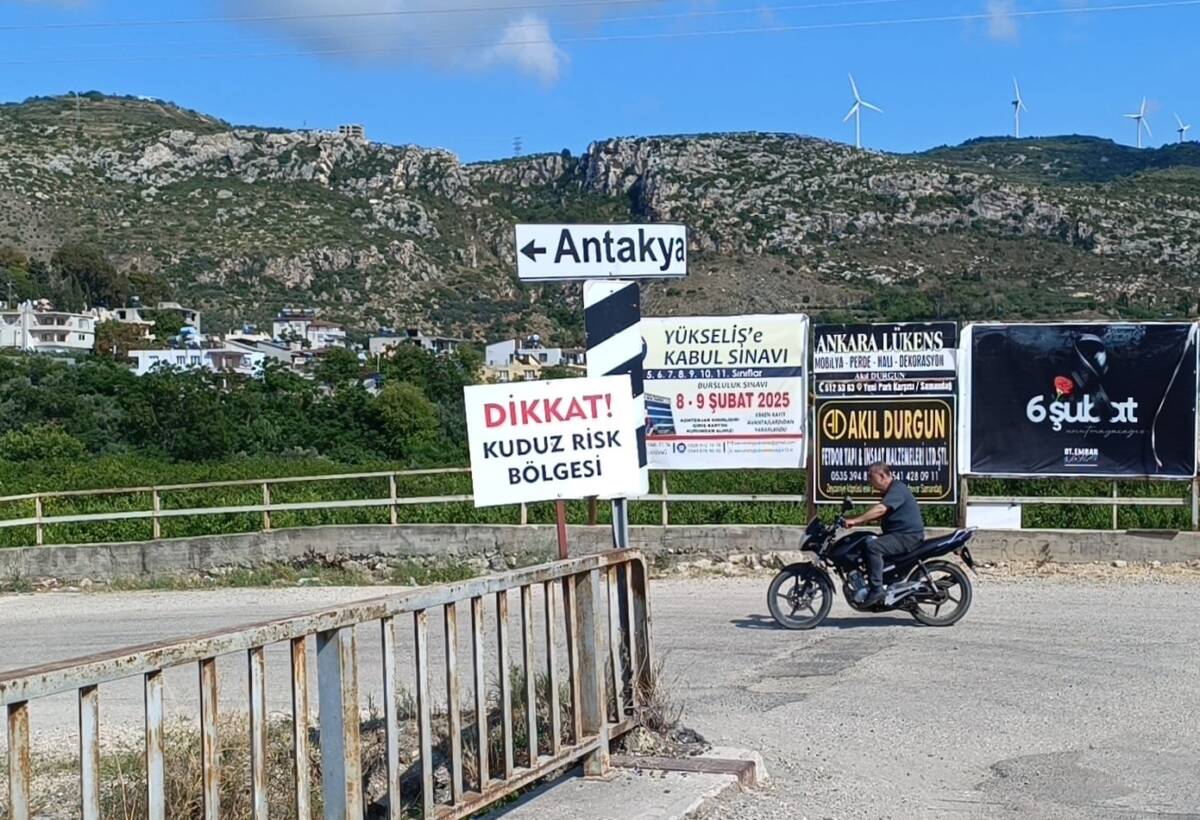 Hatay’ın Samandağ ilçesinde kuduz vakası sonrası karantinaya alınan dört mahallede,