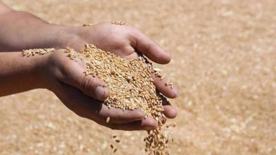 Toprak Mahsulleri Ofisi (TMO), 2025 yılı için geçerli olacak hububat