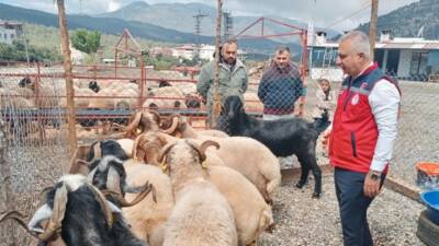 Tarım ve Orman İl Müdürü Abdurrahman Türkmen, yaklaşan Kurban Bayramı