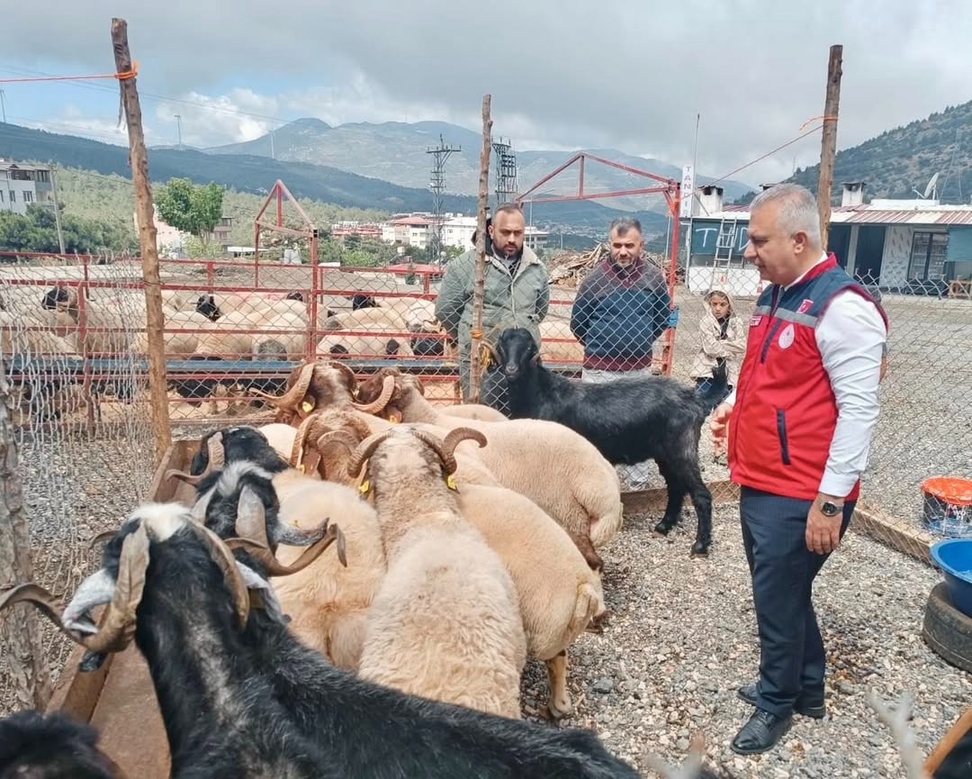 Tarım ve Orman İl Müdürü Abdurrahman Türkmen, yaklaşan Kurban Bayramı