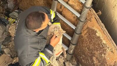 Hatay’ın Antakya ilçesine bağlı Ekinci Mahallesi’nde 5 metre derinliğindeki kuyuya