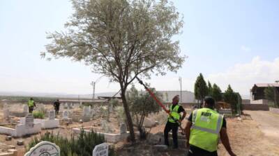 Hatay Büyükşehir Belediyesi, Kurban Bayramı öncesinde il genelindeki mezarlıklarda kapsamlı