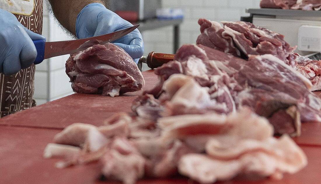 Yıldız Teknik Üniversitesi (YTÜ) Gıda Mühendisliği Bölümü Başkanı Prof. Dr.