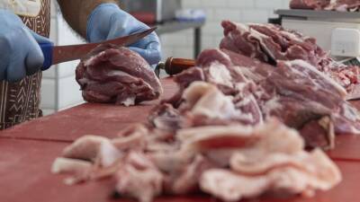 Yıldız Teknik Üniversitesi (YTÜ) Gıda Mühendisliği Bölümü Başkanı Prof. Dr.