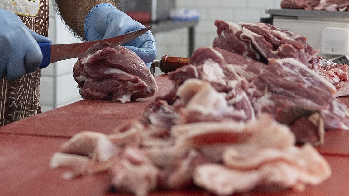 Yıldız Teknik Üniversitesi (YTÜ) Gıda Mühendisliği Bölümü Başkanı Prof. Dr.