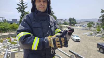 Hatay’ın Arsuz ilçesinde ayağına dolanan ip nedeniyle ağaçta mahsur kalan