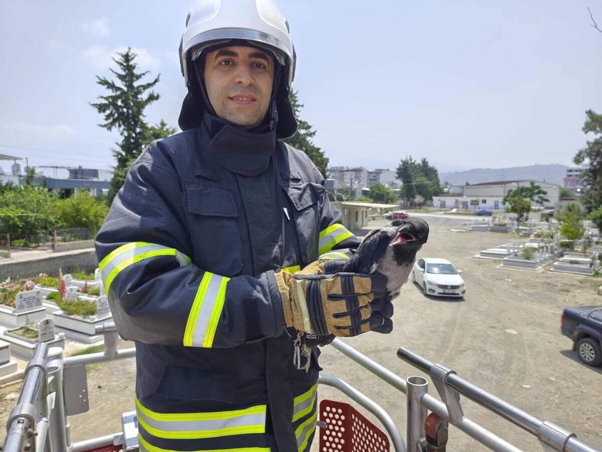Hatay’ın Arsuz ilçesinde ayağına dolanan ip nedeniyle ağaçta mahsur kalan