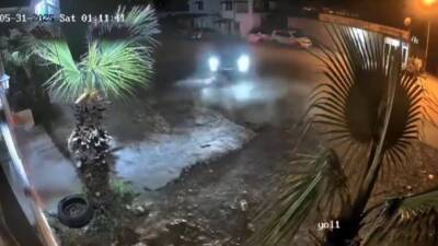 Hatay’ın Samandağ ilçesinde gece saatlerinde, yolu sakin ve boş bulan