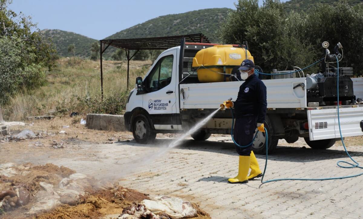 Hatay Büyükşehir Belediyesi, Kurban Bayramı sonrasında çevre ve toplum sağlığını