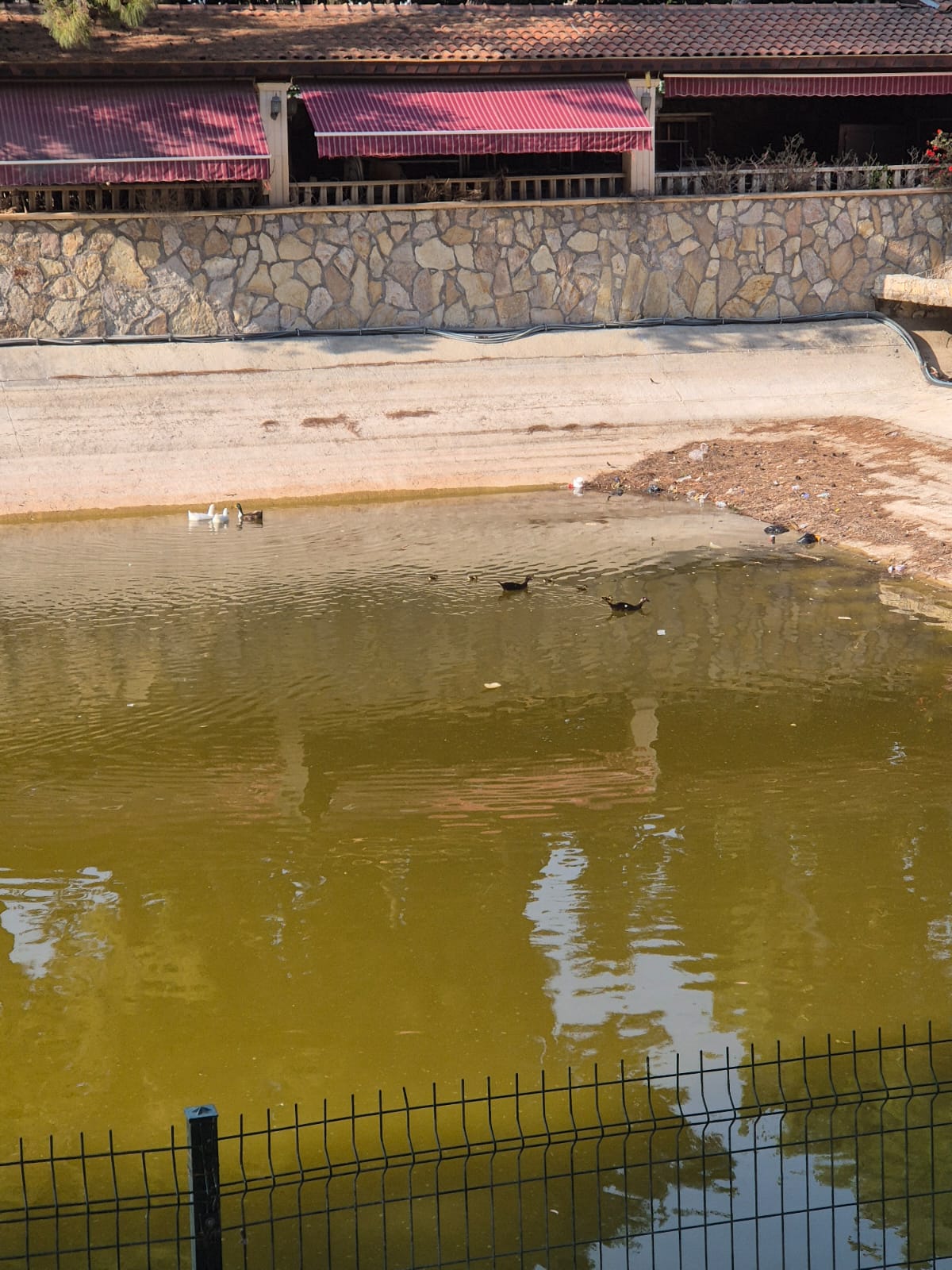 Depremlerin ardından Hatay’ın birçok ilçesinde yeşil alanlar ciddi zarar görürken,