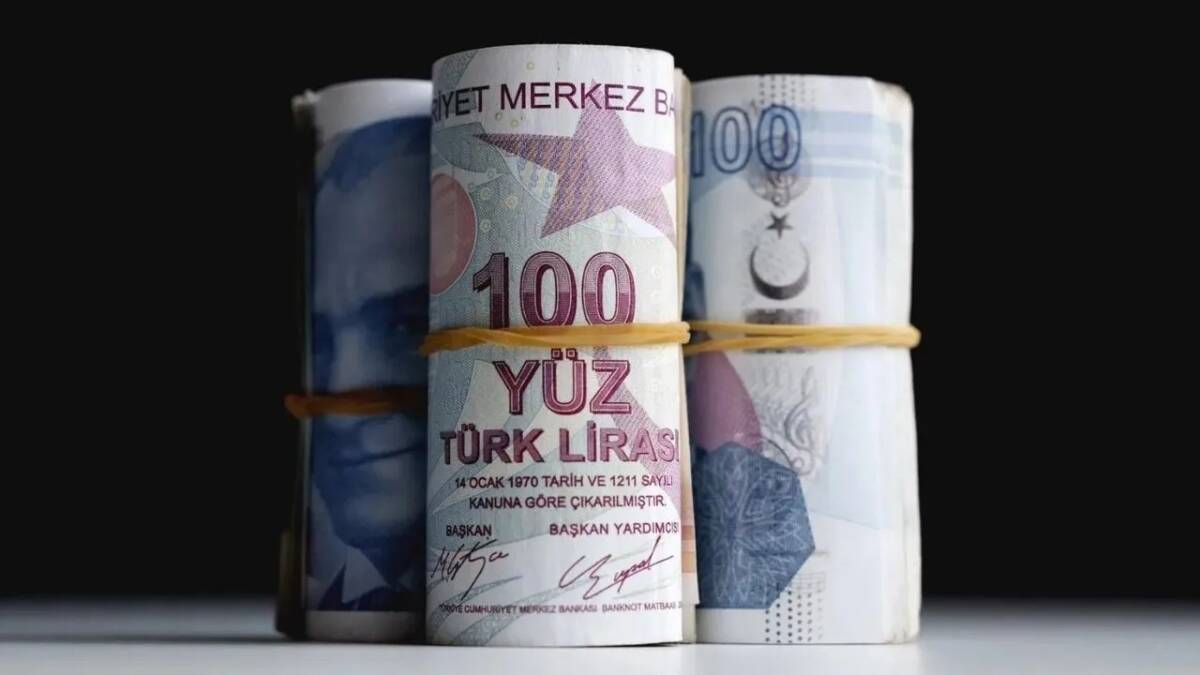 TÜİK verilerine göre borsa yatırımcısı kaybederken, mevduat faizi en yüksek