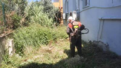 Antakya Belediyesi, kent genelindeki park ve yeşil alanlarda bakım ve