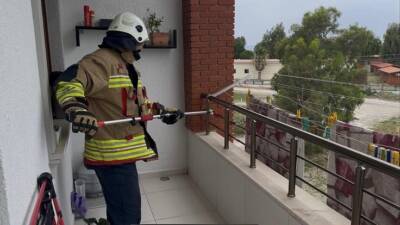 Hatay’ın Arsuz ilçesine bağlı Gözcüler Mahallesi’nde bir evin balkonunda yılan