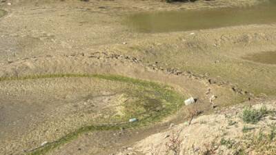 Hatay’ın can damarı olarak bilinen Asi Nehri, tamamen kurudu. Özellikle