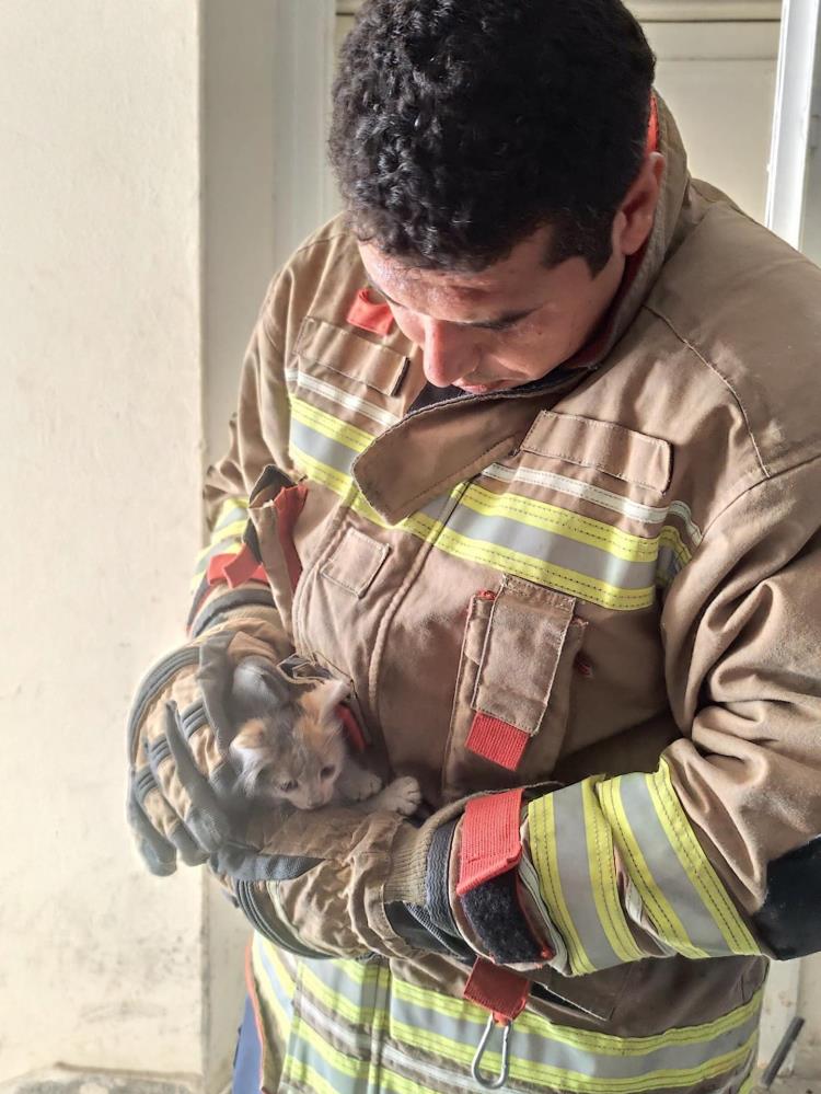 Defne ilçesinde bir binanın havalandırma boşluğuna sıkışan yavru kedi, itfaiye