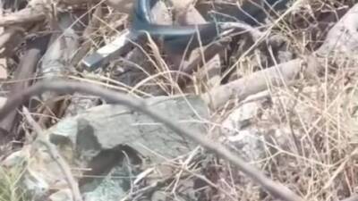 Hatay’ın Arsuz ilçesinde iki yılanın çiftleşme dansı vatandaşın cep telefonu