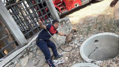 Hatay’ın Antakya ilçesine bağlı Küçükdalyan Mahallesi’nde üç metre derinliğindeki bir