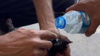 Hatay’ın Kırıkhan ilçesine bağlı Topboğazı mevkiinde çıkan yangın, rüzgarın da