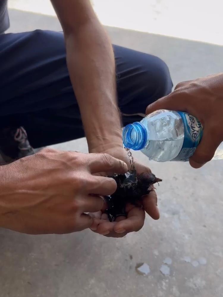 Hatay’ın Kırıkhan ilçesine bağlı Topboğazı mevkiinde çıkan yangın, rüzgarın da
