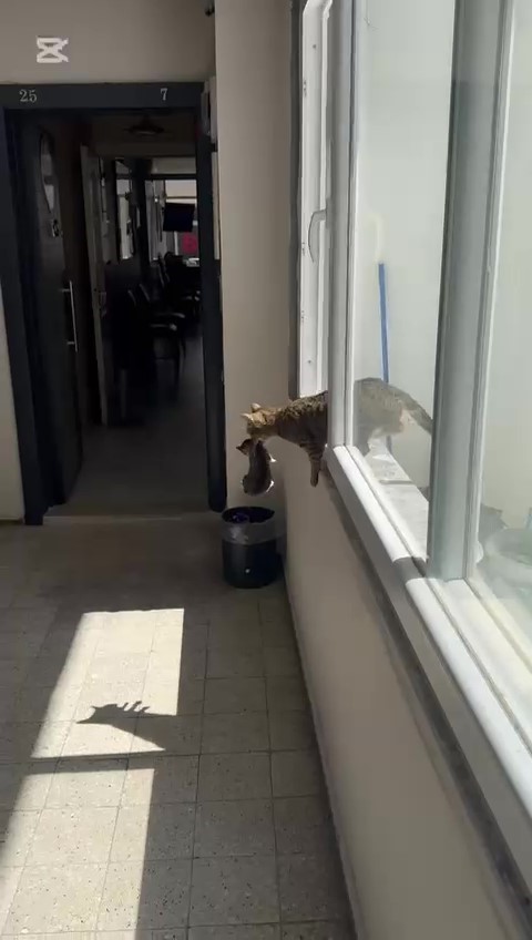 Hatay’ın İskenderun ilçesinde yürekleri ısıtan bir olay yaşandı. Daha önce