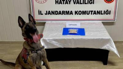 Hatay İl Jandarma Komutanlığı ekipleri, uyuşturucu madde ve kaçakçılıkla mücadele