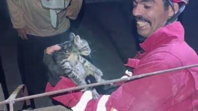 Hatay’ın Dörtyol ilçesinde bir binanın yaklaşık 5 metrelik boşluğuna düşen