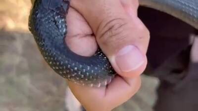 Hatay’ın Payas ilçesinde yaşayan ve halk arasında “Yılancı Kemal” olarak