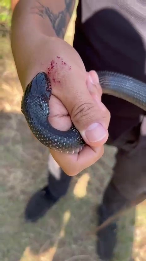 Hatay’ın Payas ilçesinde yaşayan ve halk arasında “Yılancı Kemal” olarak