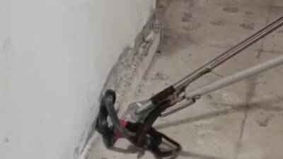 Hatay’ın Dörtyol ilçesinde bir apartmanın kazan dairesine giren yılan, kısa