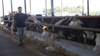 Hatay’ın Reyhanlı ilçesinde besicilik yapan İbrahim Yumuşak, yurt dışından getirttiği