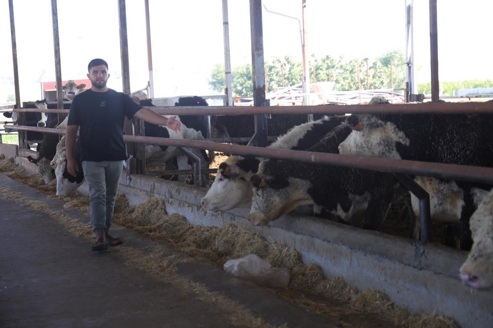 Hatay’ın Reyhanlı ilçesinde besicilik yapan İbrahim Yumuşak, yurt dışından getirttiği