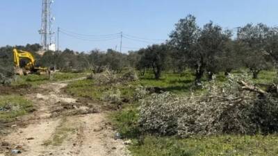 Antakya Çevre Koruma Derneği (AÇKD) Yönetim Kurulu, TBMM’ye sunulan ve