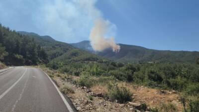 Hatay’ın Hassa ilçesinde başlayan yangına ekipler karadan ve havadan müdahale