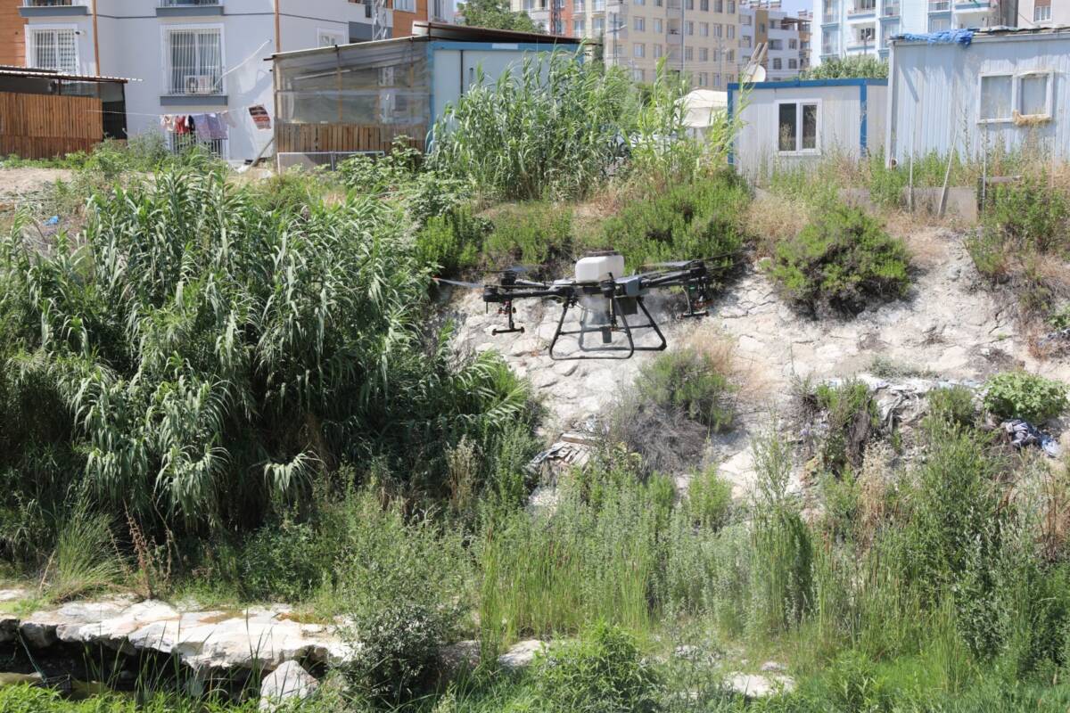 Hatay Büyükşehir Belediyesi (HBB), halk sağlığını tehdit eden haşere ve