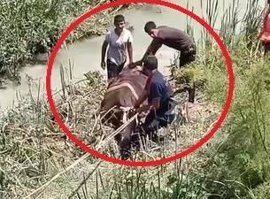 Hatay’ın Reyhanlı ilçesine bağlı Varışlı Mahallesi’nde dere yatağına giren üç