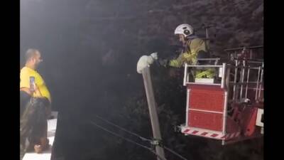 Hatay Büyükşehir Belediyesi İtfaiye ekipleri, İskenderun’da direkte mahsur kalan bir