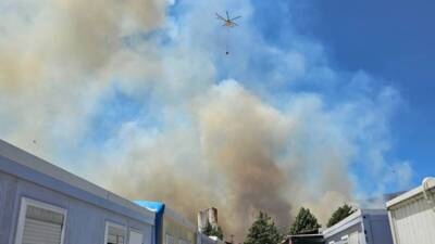 Cumhurbaşkanlığı İletişim Başkanlığı, Türkiye genelinde son 3 günde çıkan orman