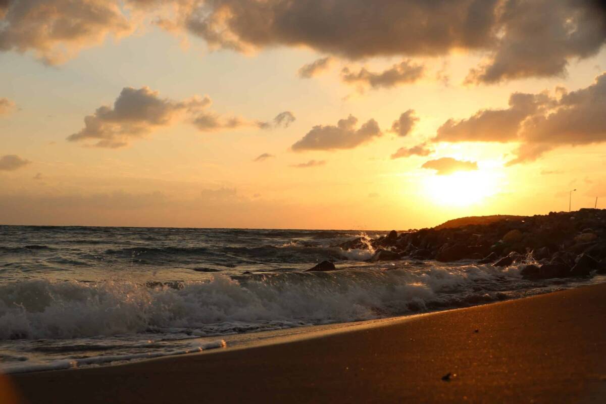 Meteoroloji Genel Müdürlüğü’nün Piri Reis sayfasından alınan deniz suyu sıcaklıkları