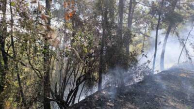 Hatay'ın Dörtyol ilçesinde meydana gelen orman yangını, ekiplerin hem havadan