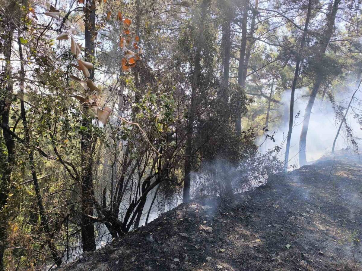 Hatay'ın Dörtyol ilçesinde meydana gelen orman yangını, ekiplerin hem havadan
