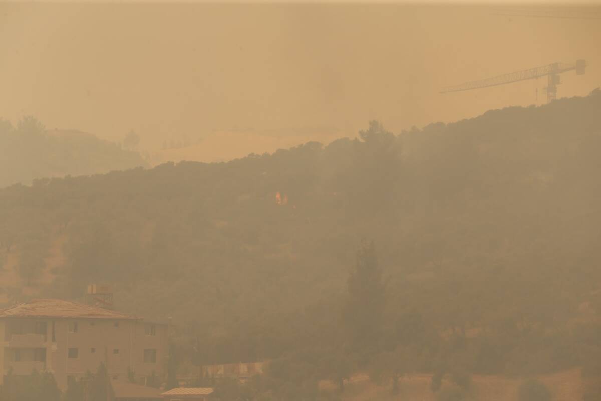 Hatay’ın Antakya, Samandağ, Defne ve Altınözü ilçelerinde eş zamanlı olarak