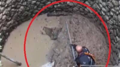 Samandağ’da duyarlı vatandaşların ihbarı üzerine harekete geçen ekipler, mahsur kalan