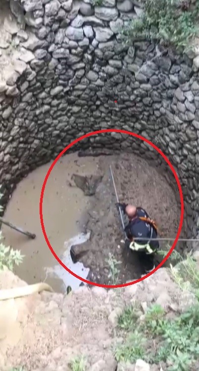 Samandağ’da duyarlı vatandaşların ihbarı üzerine harekete geçen ekipler, mahsur kalan