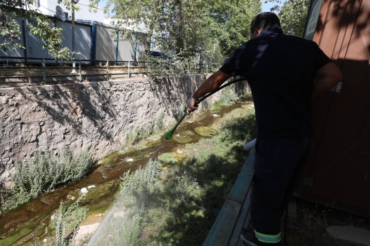 Hatay Büyükşehir Belediyesi (HBB), kent genelinde sinek, sivrisinek, larva ve