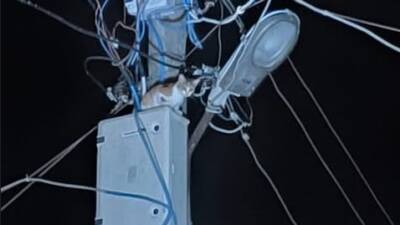 Hatay’ın Samandağ ilçesinde elektrik direğinde mahsur kalan bir kedi, Hatay