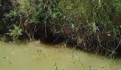 Vatandaşların ihbarı üzerine harekete geçen ekipler, mahsur kalan köpeği kısa